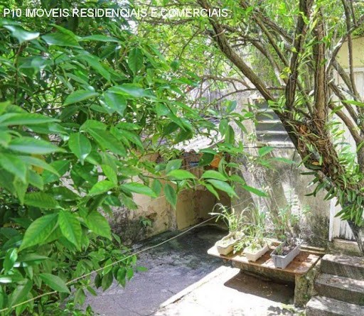 Casa, 4 quartos - Foto 3