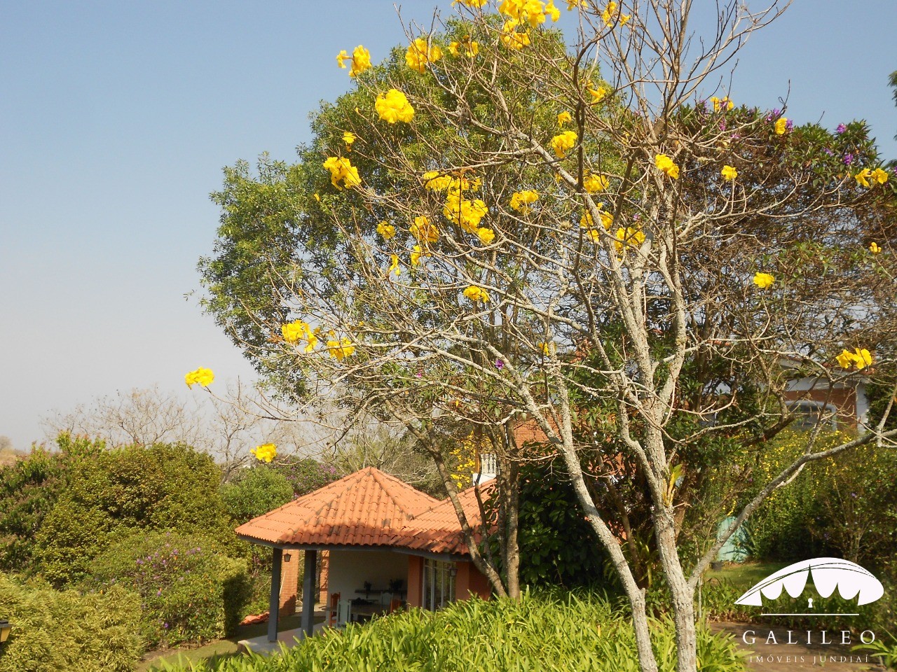 Casa, 5 quartos, 300 m² - Foto 59