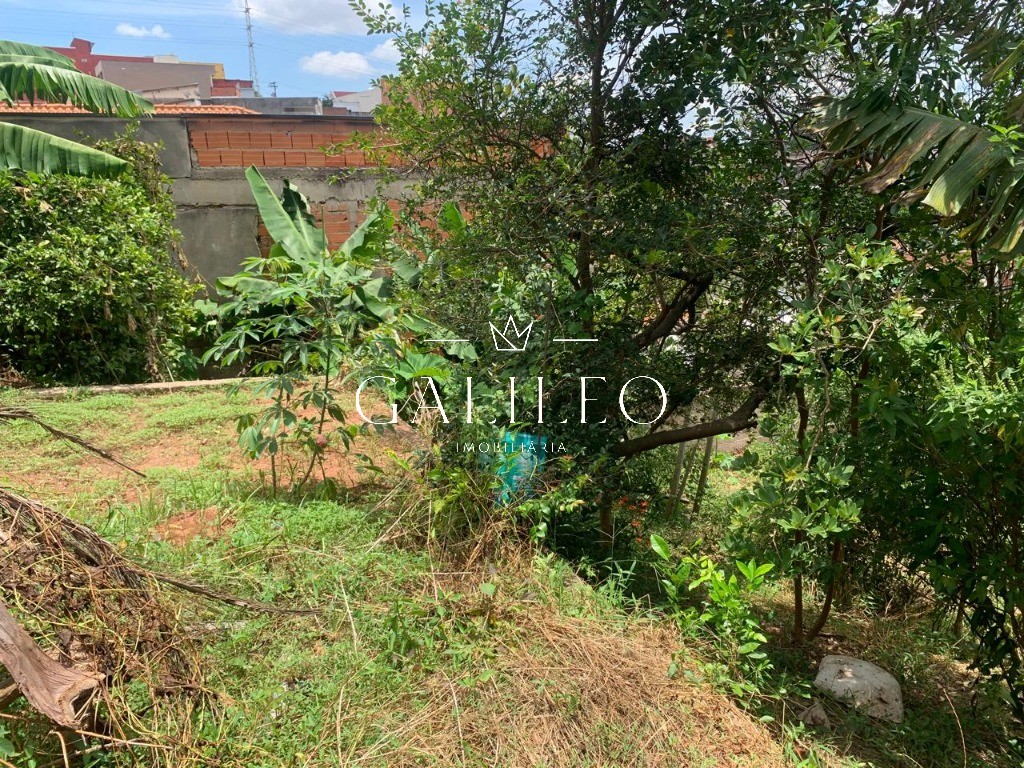 Terreno, 25 hectares - Foto 7