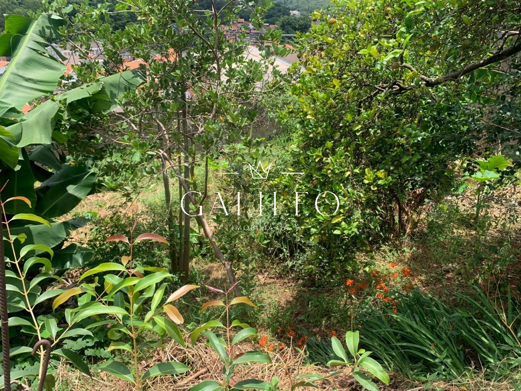 Terreno, 25 hectares - Foto 10