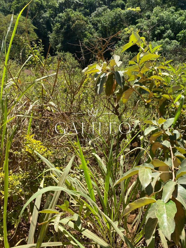Terreno, 9000 m² - Foto 9