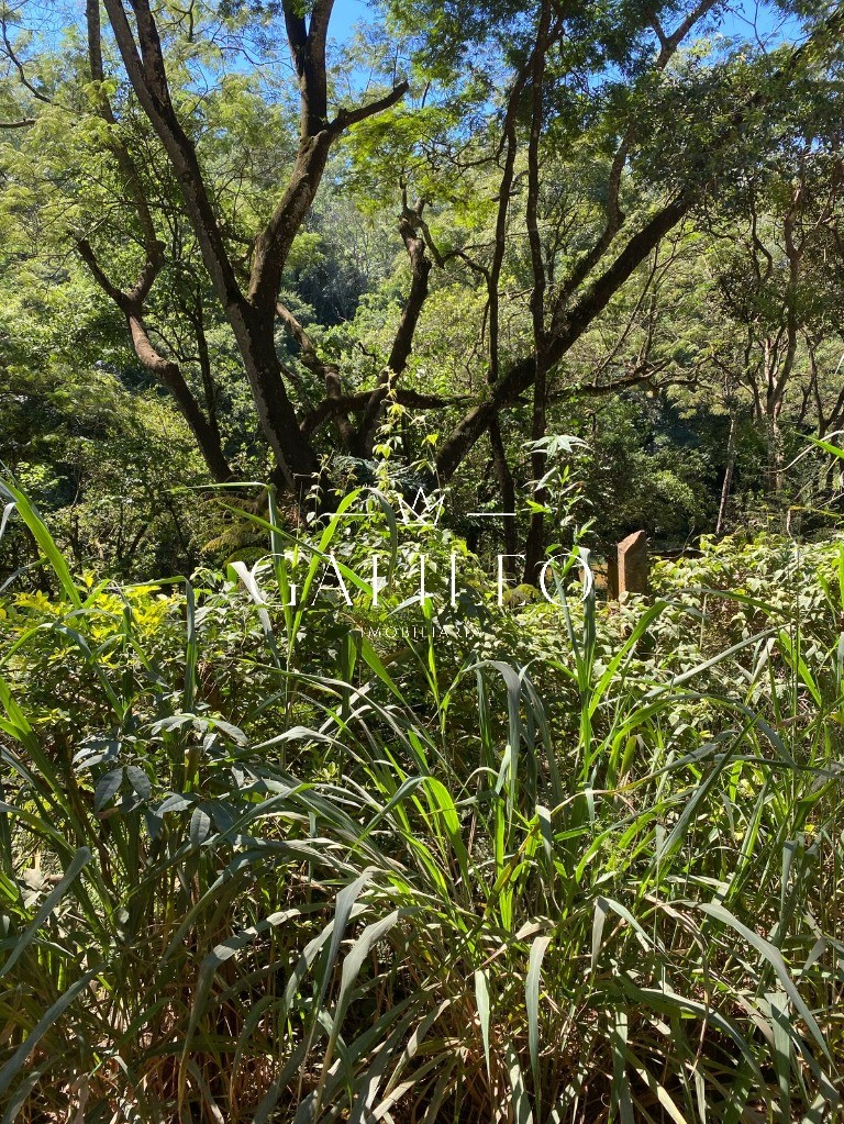 Terreno, 9000 m² - Foto 5