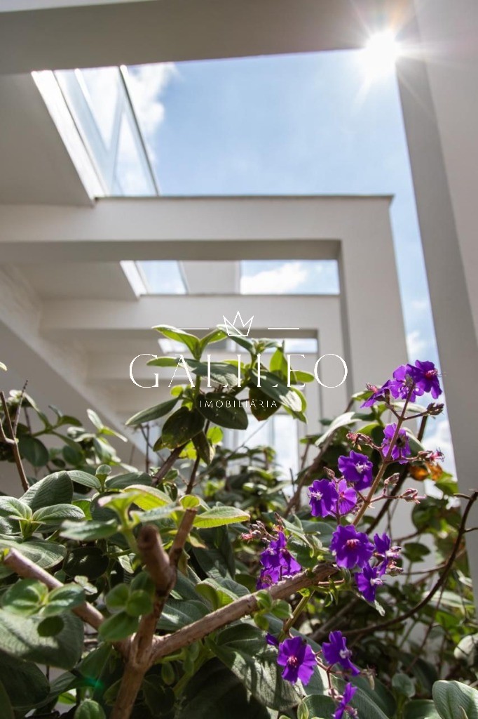 Casa, 4 quartos - Foto 6