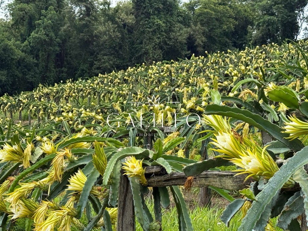 Terreno em CAXAMBU, JUNDIAÍ - Foto 51