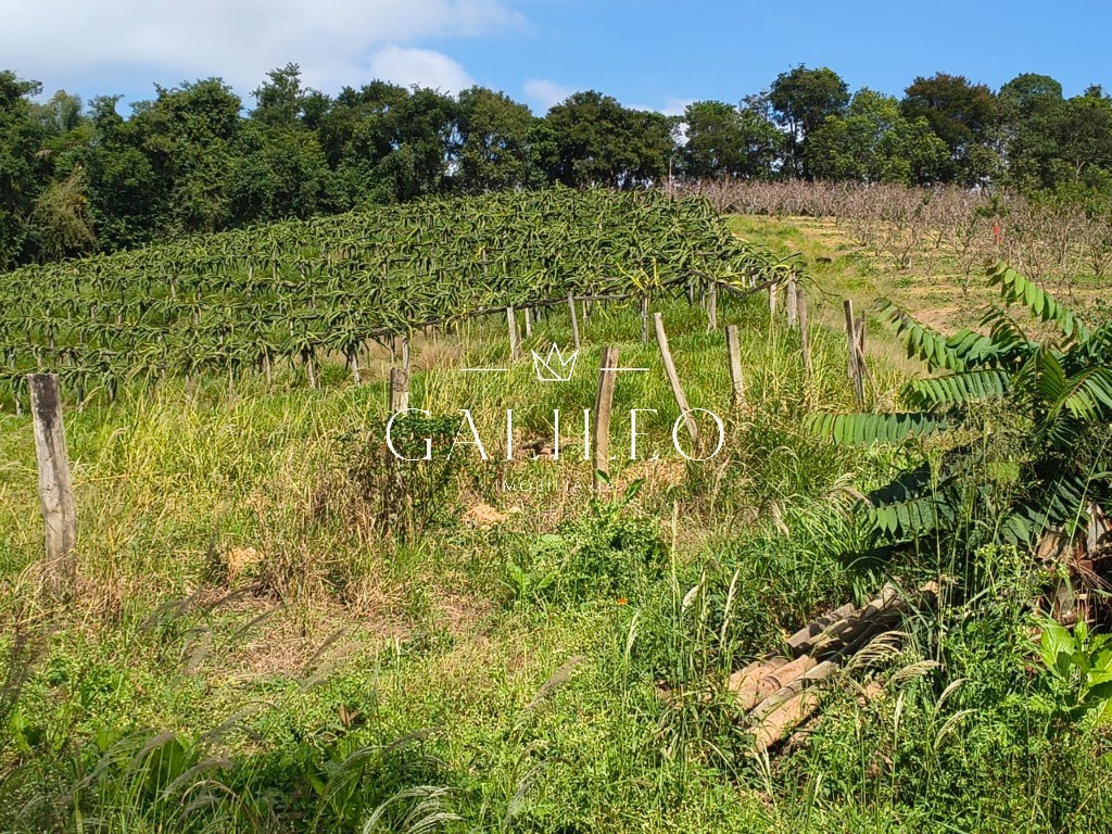 Terreno em CAXAMBU, JUNDIAÍ - Foto 35