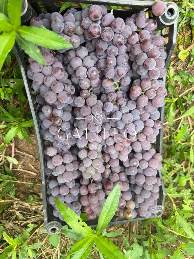 Terreno em CAXAMBU, JUNDIAÍ - Foto 46