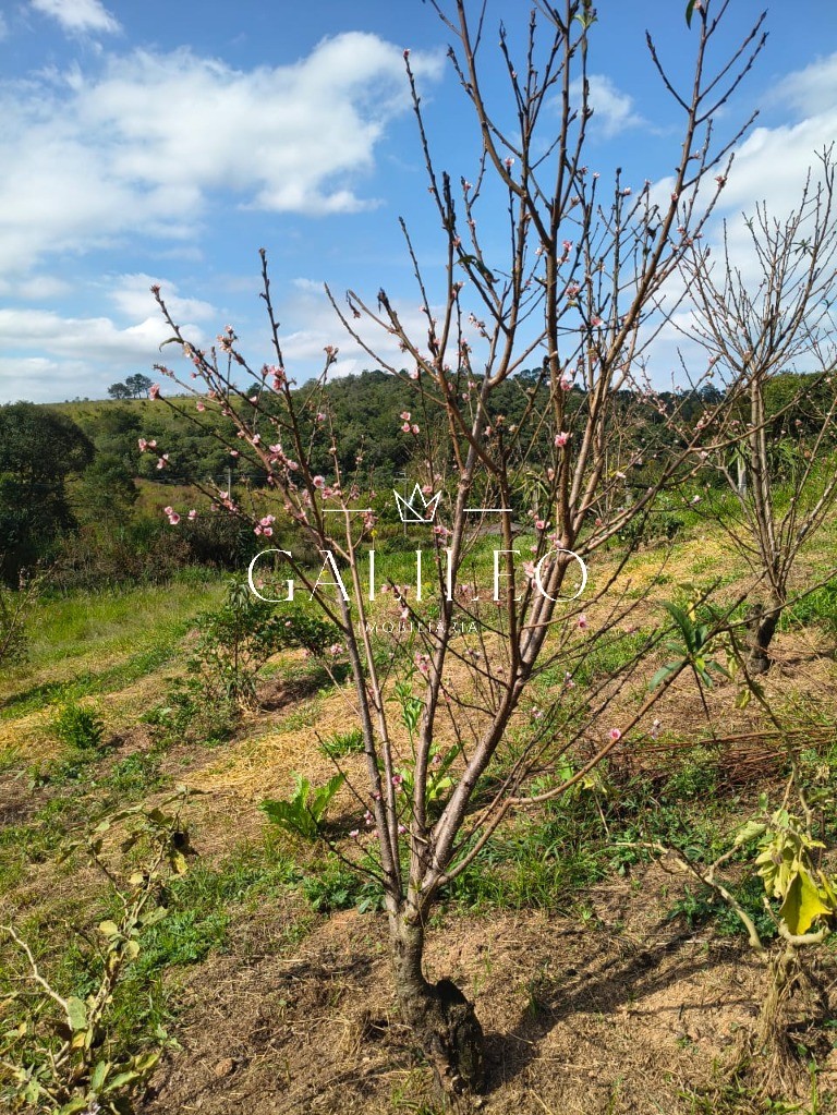Terreno em CAXAMBU, JUNDIAÍ - Foto 4