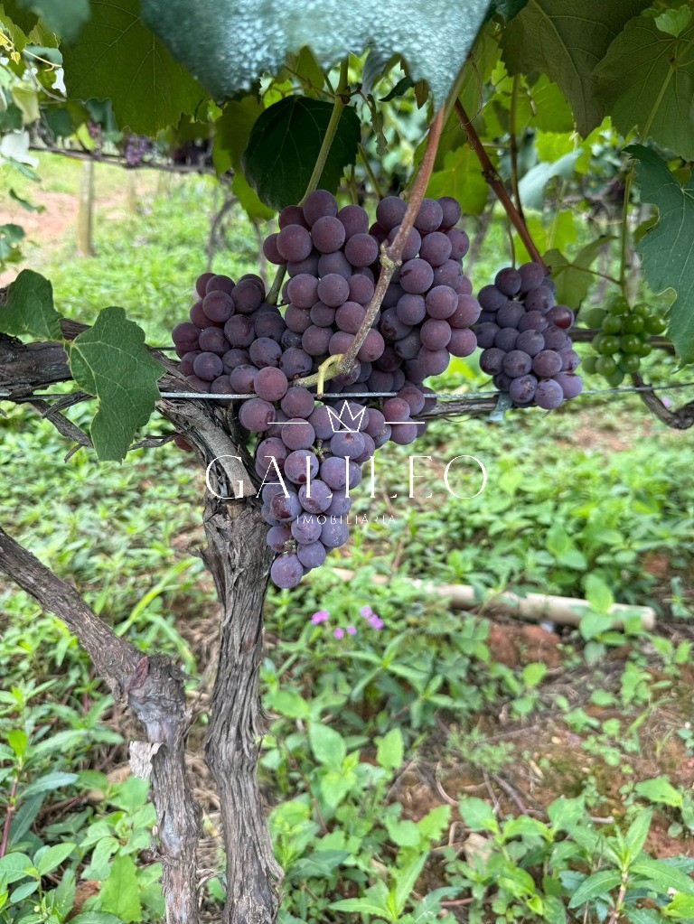 Terreno em CAXAMBU, JUNDIAÍ - Foto 45