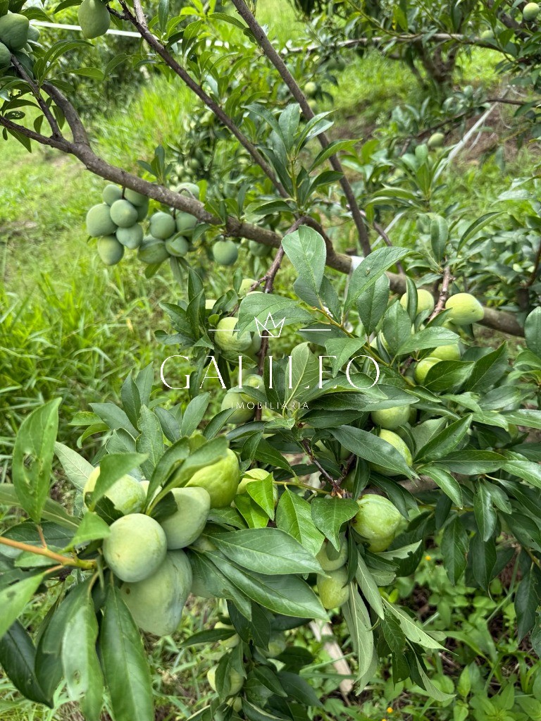 Terreno em CAXAMBU, JUNDIAÍ - Foto 49