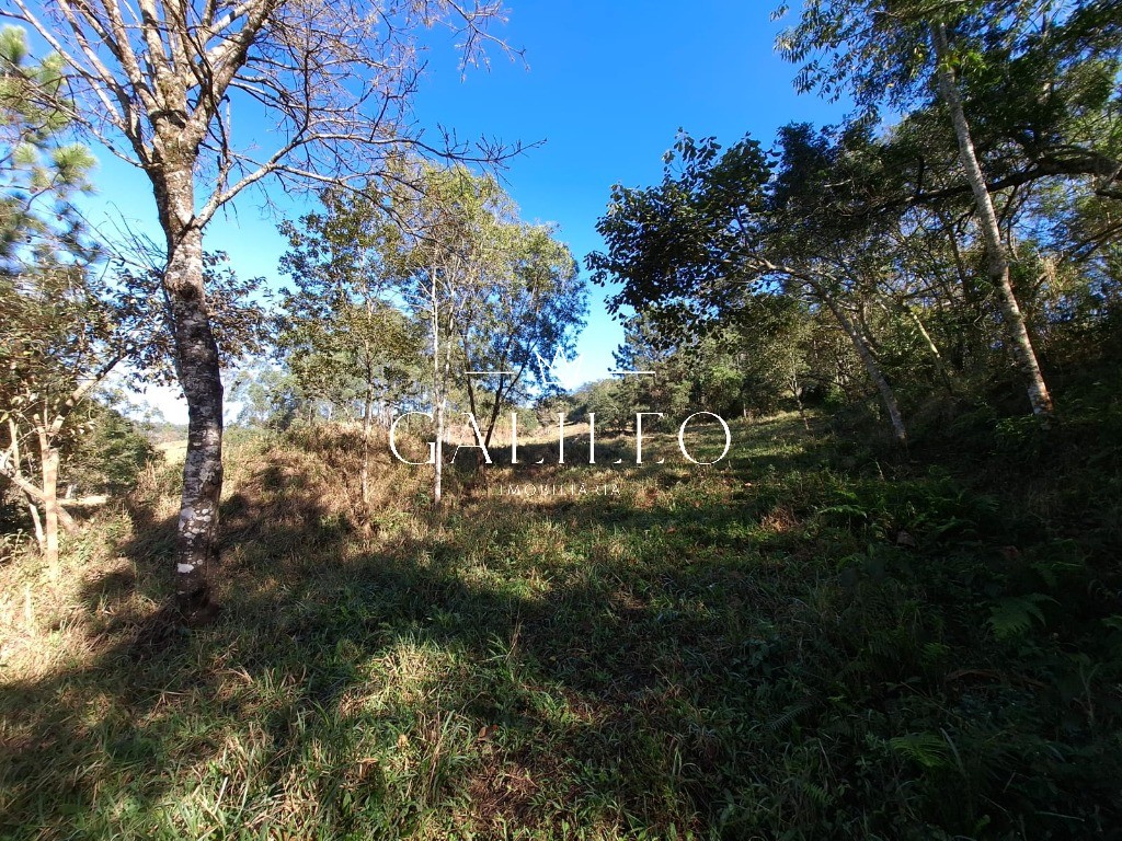 Comercial em FIM DO CAMPO, JARINU - Foto 2