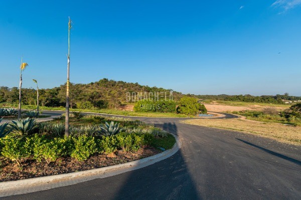 Terreno, 567 m² - Foto 3