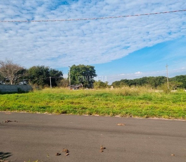 Terreno, 567 m² - Foto 6