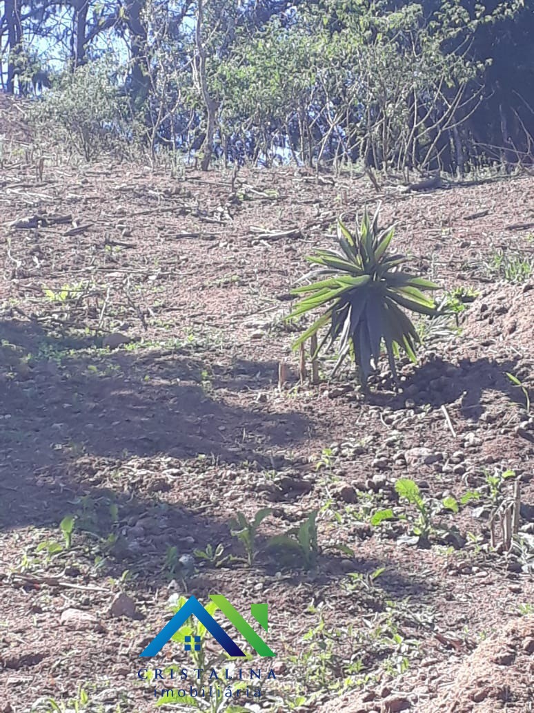 Casa em CAIOÇARA, JARINU - Foto 2
