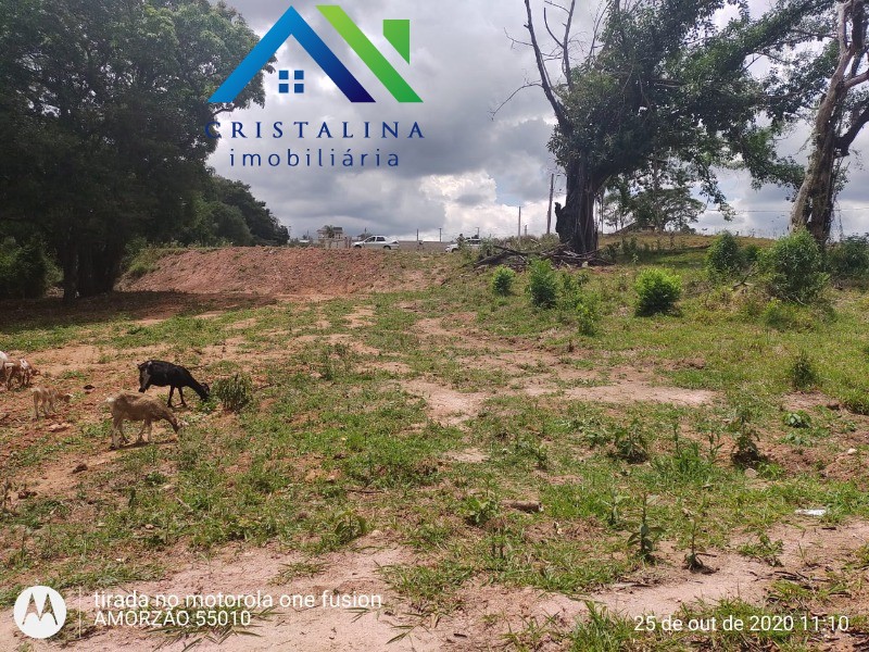 Terreno em JARDIM TARUMÃ, JUNDIAÍ - Foto 6