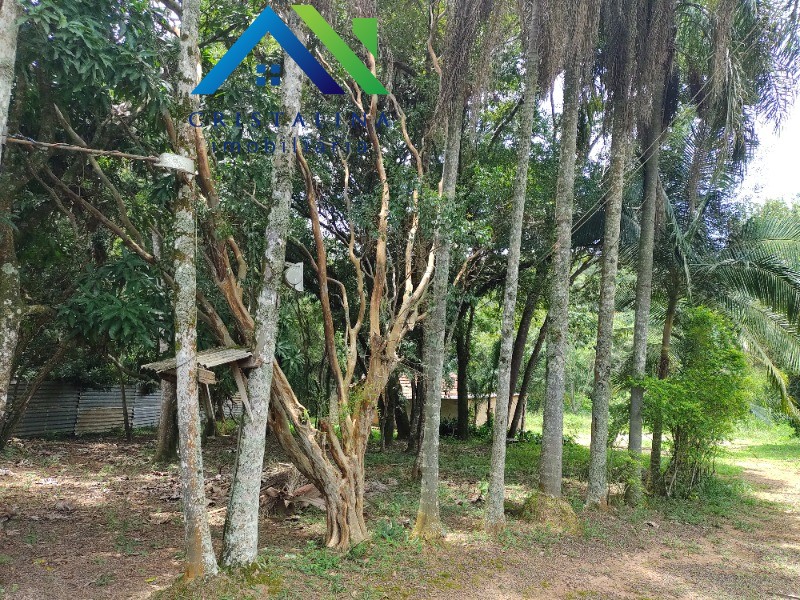 Terreno em Maracanã, Jarinu - Foto 7