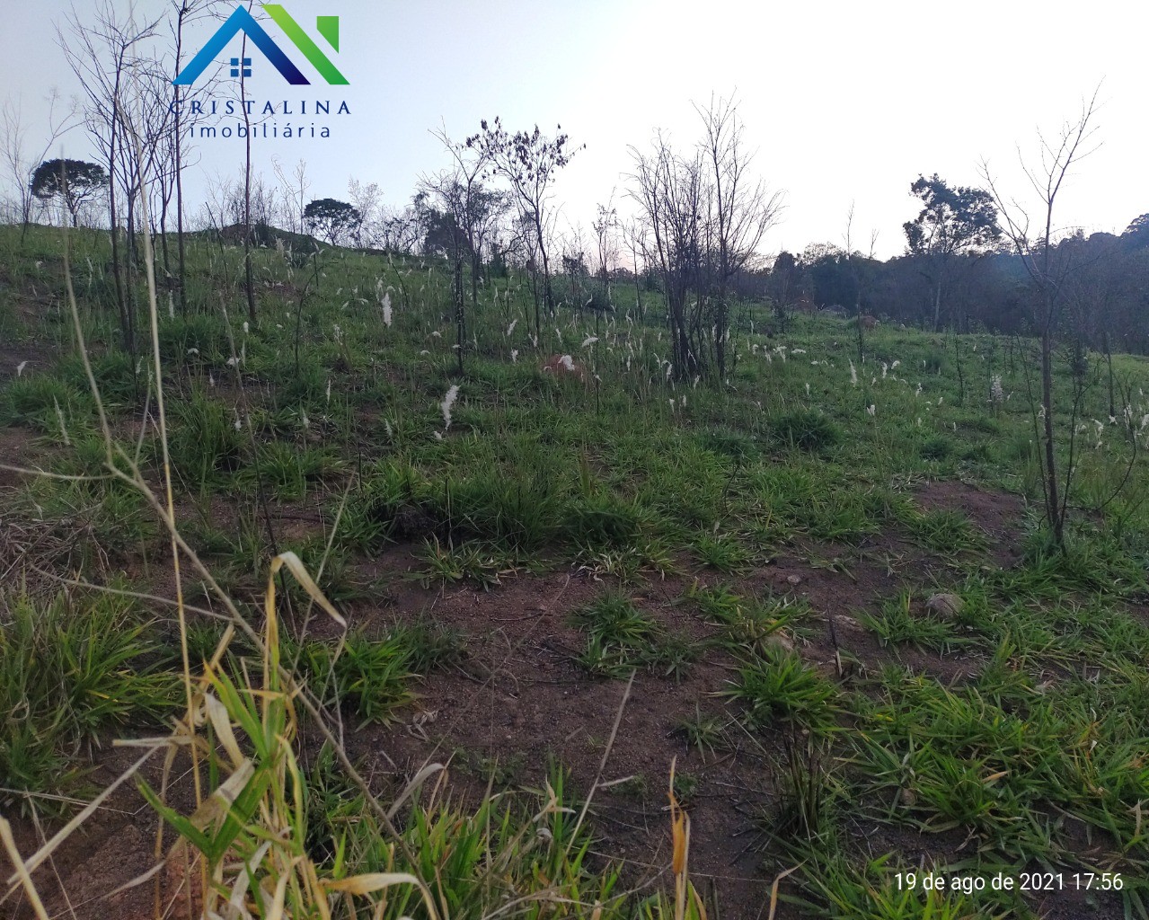 Terreno em BOTUJURU (BOTUJURU), CAMPO LIMPO PAULISTA - Foto 19