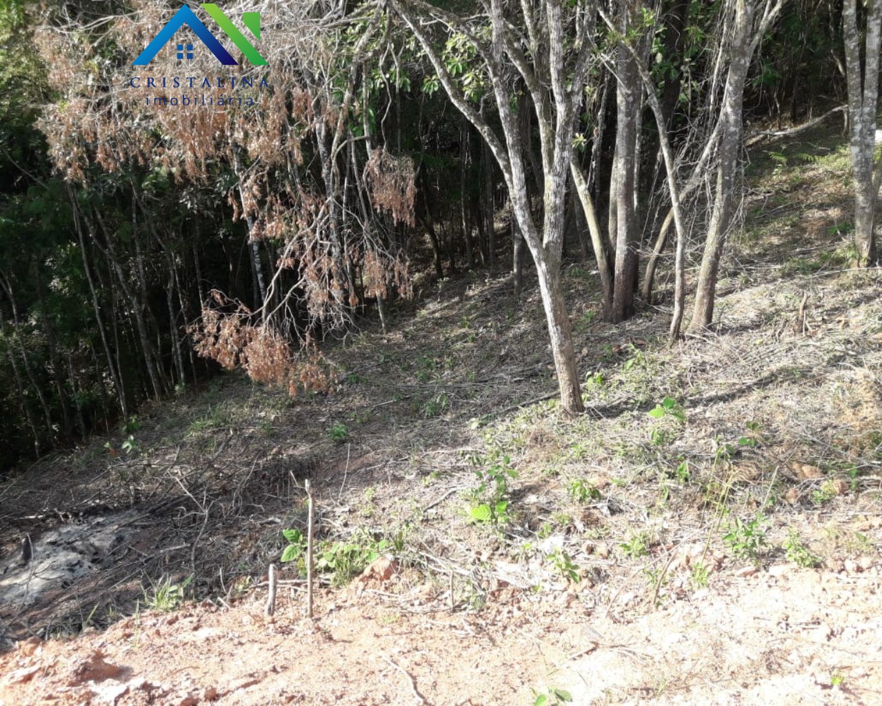 Terreno em VALE DAS CASTANHEIRAS, CAMPO LIMPO PAULISTA - Foto 4