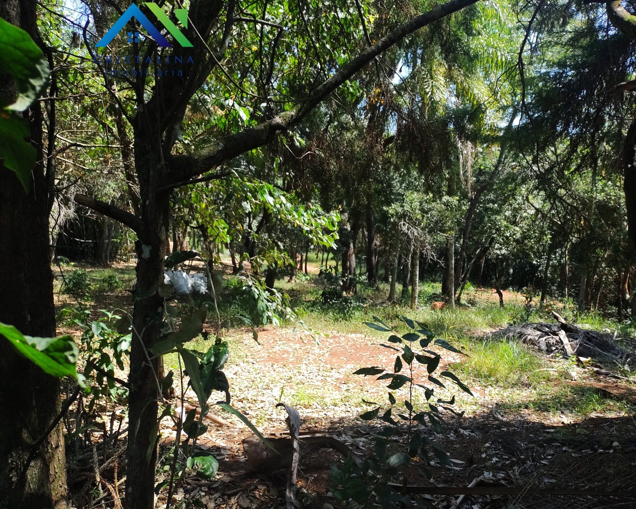 Terreno em CHÁCARA SAN MARTIN I, ITATIBA - Foto 2