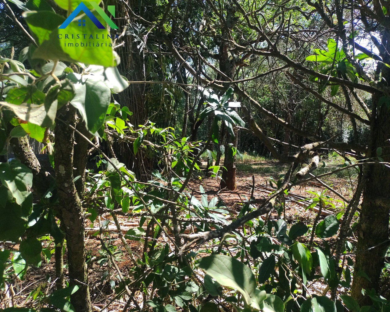 Terreno em CHÁCARA SAN MARTIN I, ITATIBA - Foto 8