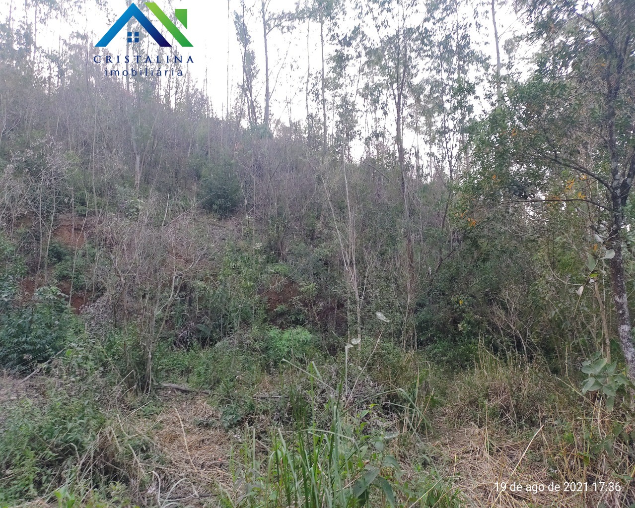 Terreno em VALE DAS CASTANHEIRAS, Campo Limpo Paulista - Comprar Terreno 5.195,97 m² Vale das Castanheiras Campo Limpo Paulista SP