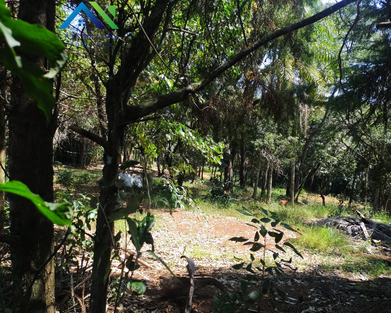 Terreno em CHÁCARA SAN MARTIN I, ITATIBA - Foto 3
