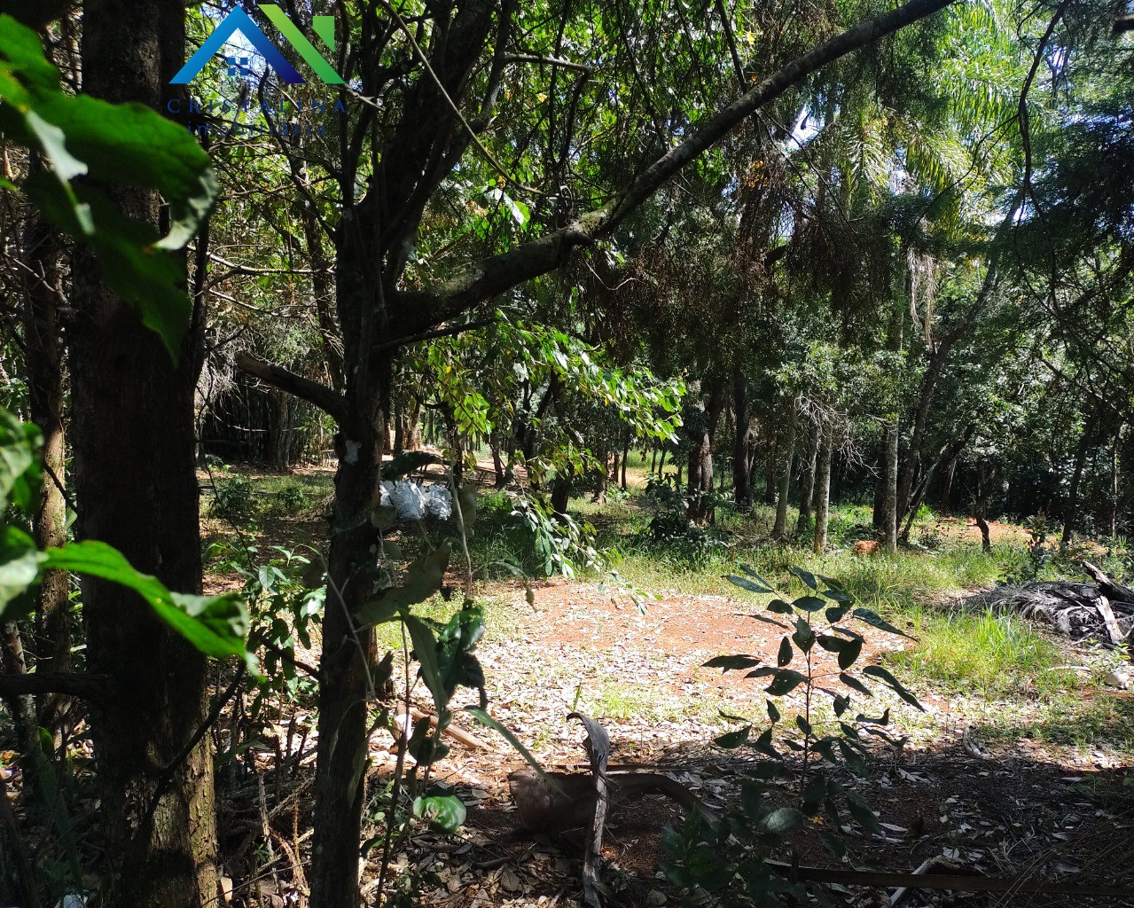 Terreno em CHÁCARA SAN MARTIN I, ITATIBA - Foto 5