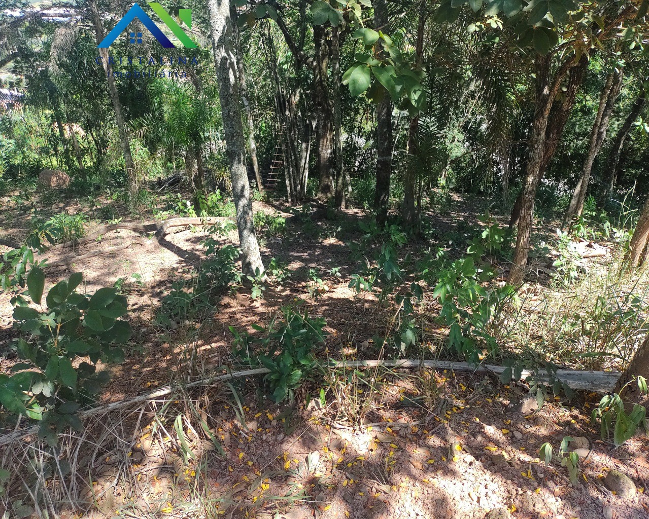 Terreno em CHÁCARA SAN MARTIN I, ITATIBA - Foto 51