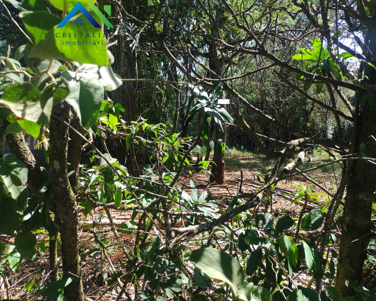 Terreno em CHÁCARA SAN MARTIN I, ITATIBA - Foto 7