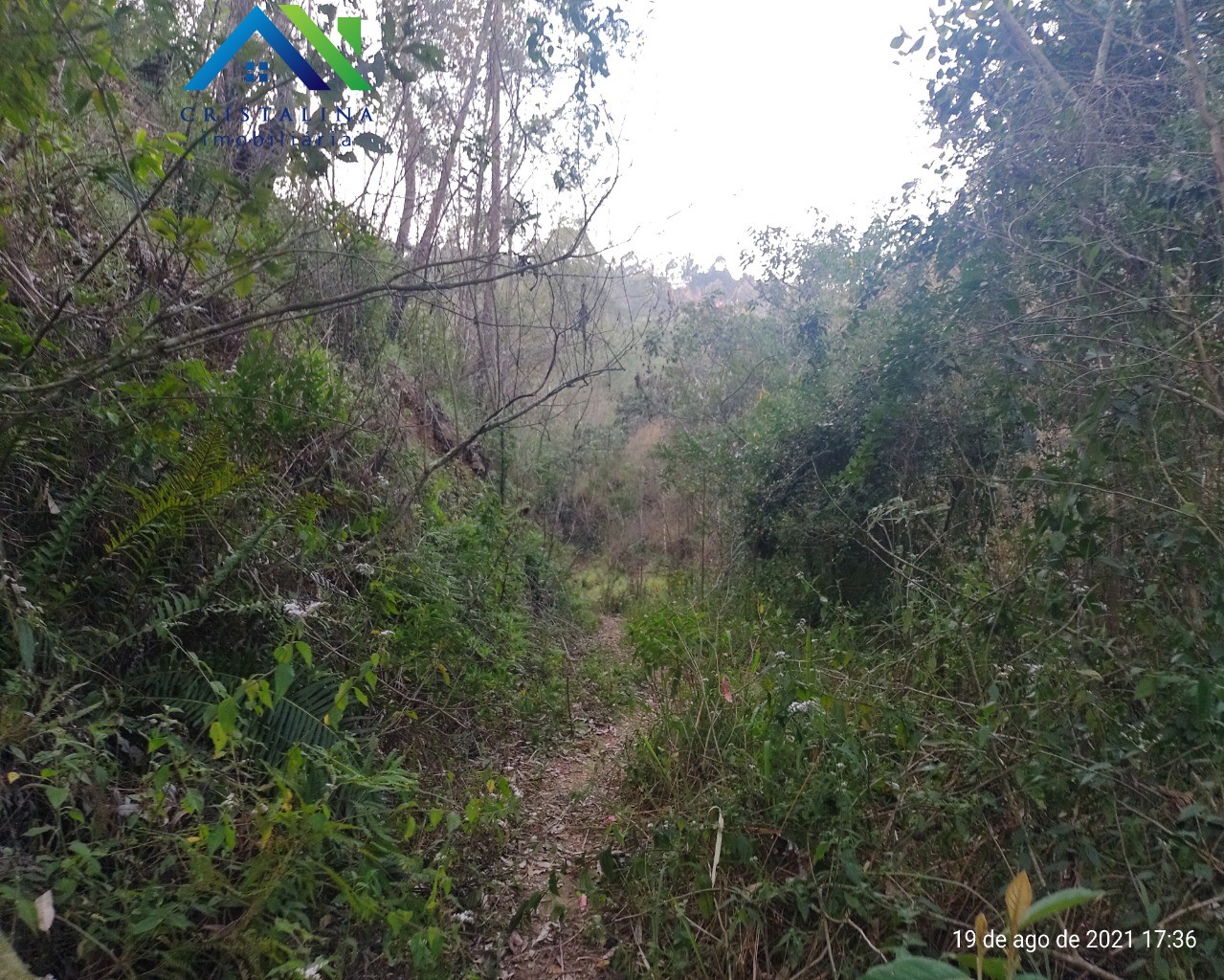 Terreno em VALE DAS CASTANHEIRAS, Campo Limpo Paulista - Foto 7