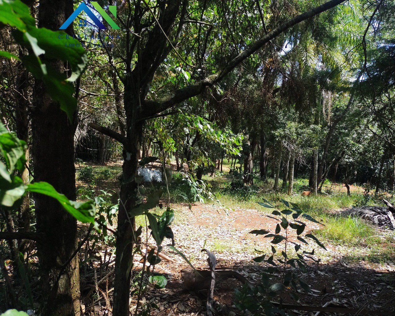 Terreno em CHÁCARA SAN MARTIN I, ITATIBA - Foto 4