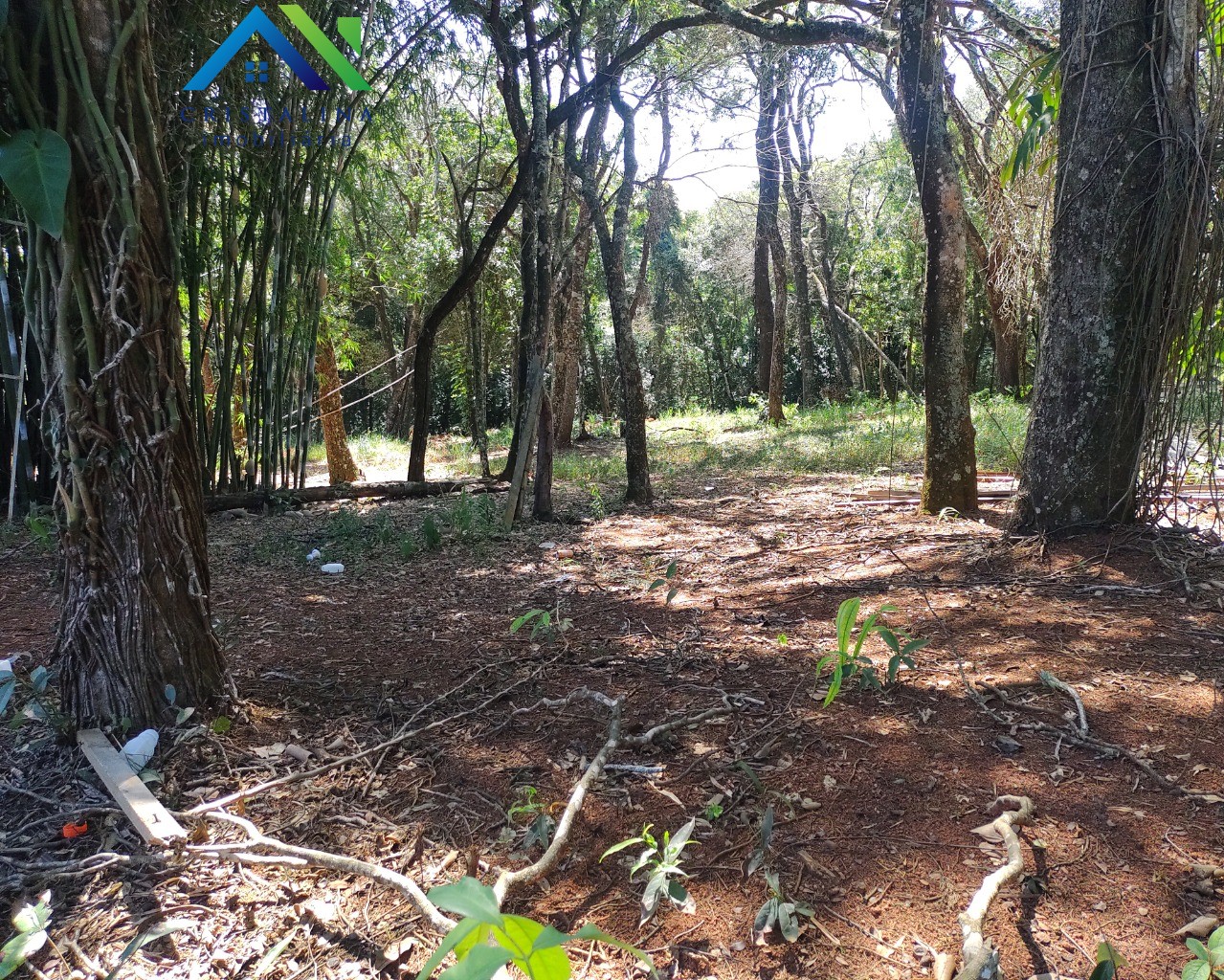 Terreno em CHÁCARA SAN MARTIN I, ITATIBA - Foto 45