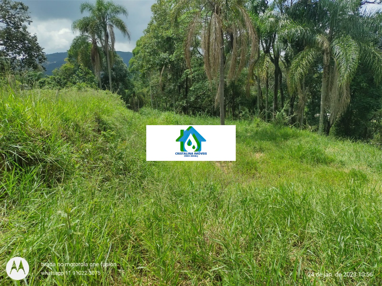 Terreno em PONUNDUVA, CAJAMAR - Foto 6