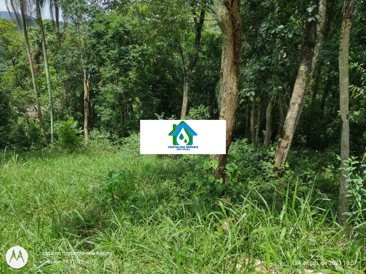 Terreno em PONUNDUVA, CAJAMAR - Foto 2