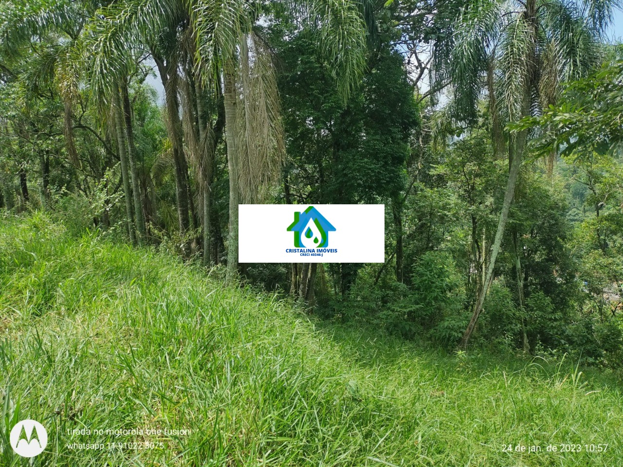 Terreno em PONUNDUVA, CAJAMAR - Foto 3