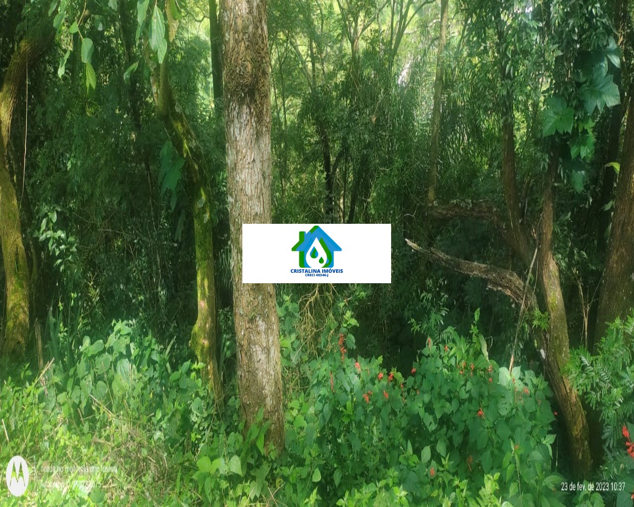 Chácara em LOTEAMENTO SÍTIOS DE SANTA CLARA, JUNDIAÍ - Comprar chácara Sitio Santa Clara Jundiaí SP 2 dormitórios - Foto 5