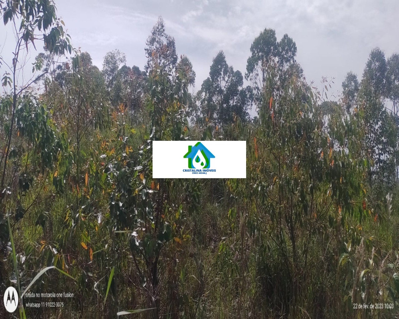 Terreno em Vale das Castanheiras, CAMPO LIMPO PAULISTA - Foto 3