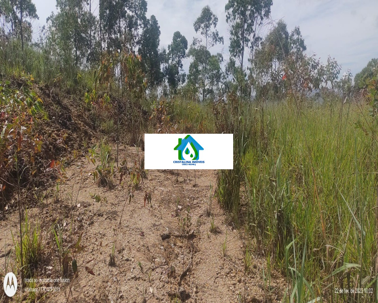 Terreno em Vale das Castanheiras, CAMPO LIMPO PAULISTA - Comprar terreno Campo Limpo Paulista, Vale das Castanheiras 5.000 m²