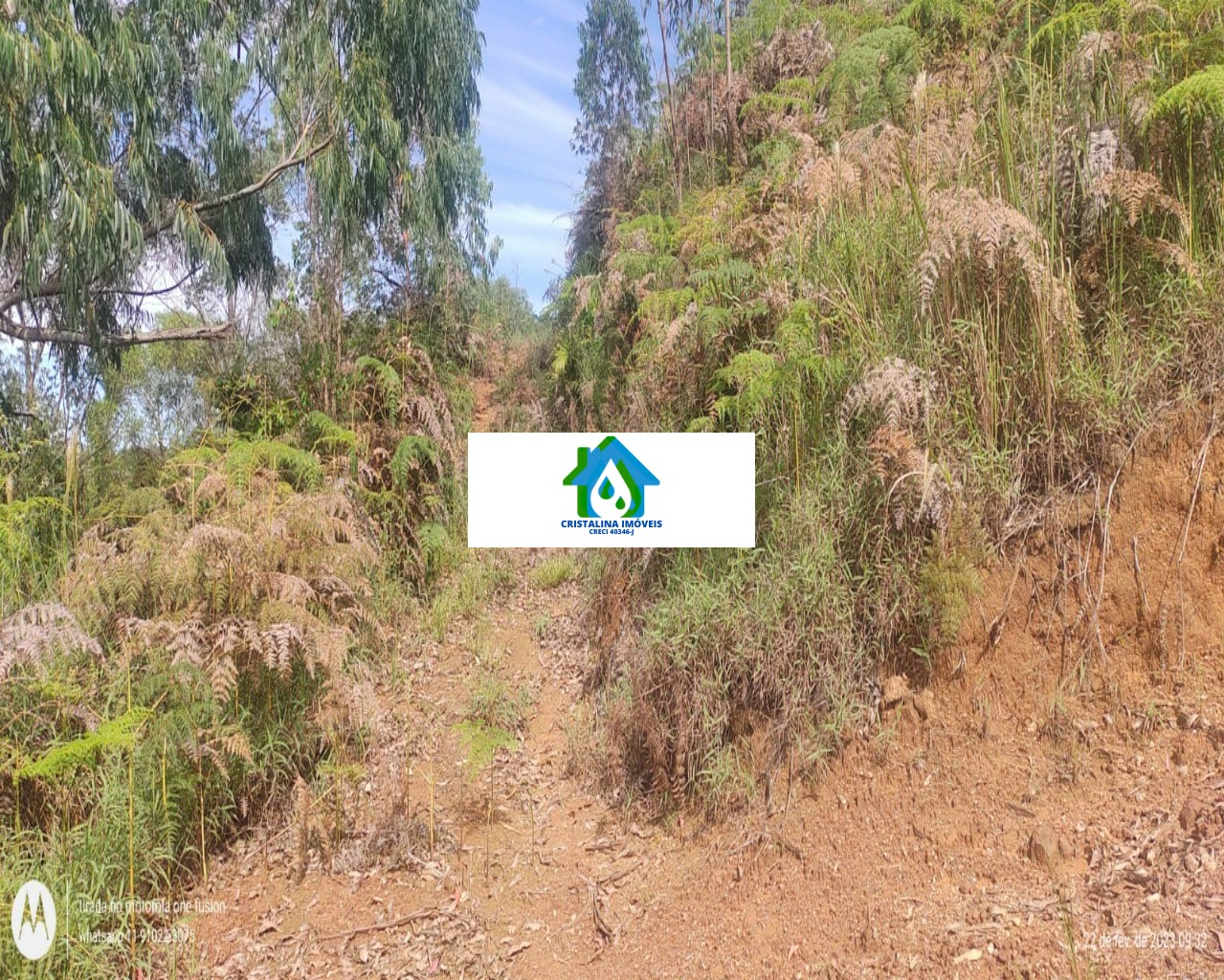 Terreno em Vale das Castanheiras, CAMPO LIMPO PAULISTA - Foto 4