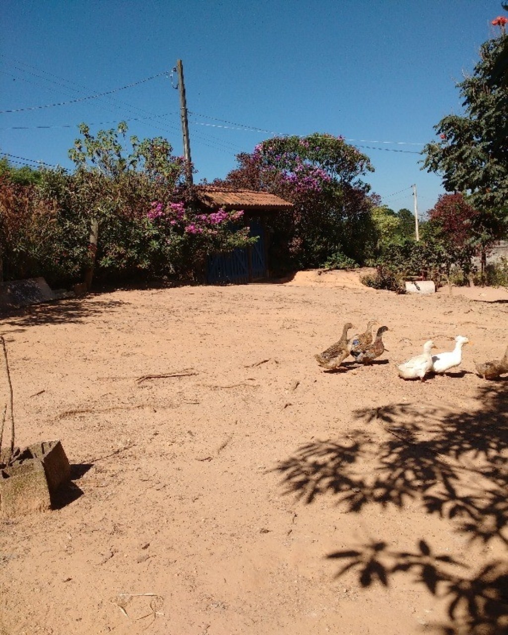 Comprar ou permutar chcara, Jarinu  Caioara 1.728 m Vendo/Permuto
