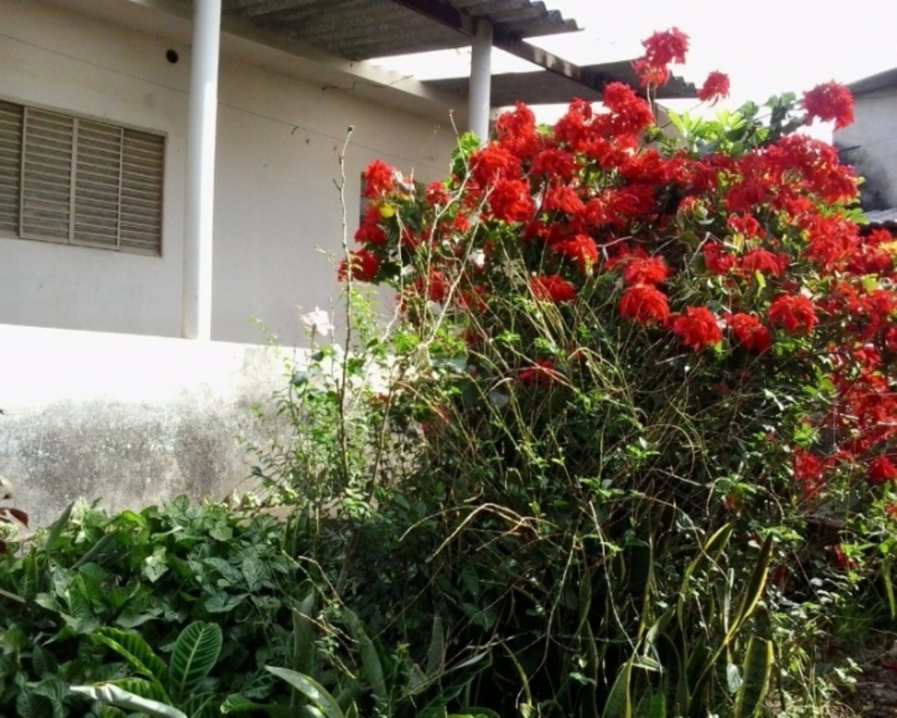 Terreno em JARDIM BONFIGLIOLI, Jundiaí - Foto 7