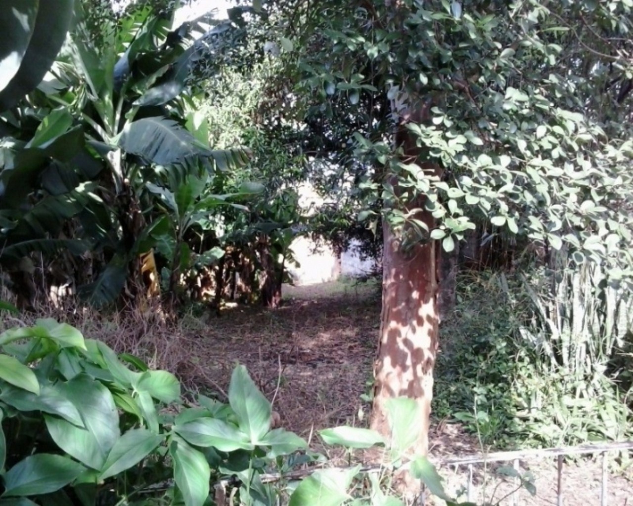Terreno em JARDIM BONFIGLIOLI, Jundiaí - Foto 18