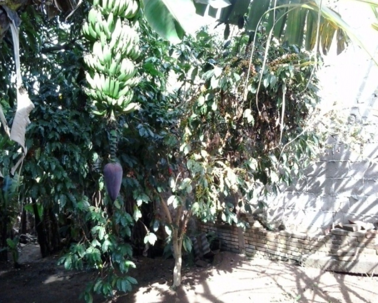 Terreno em JARDIM BONFIGLIOLI, Jundiaí - Foto 20