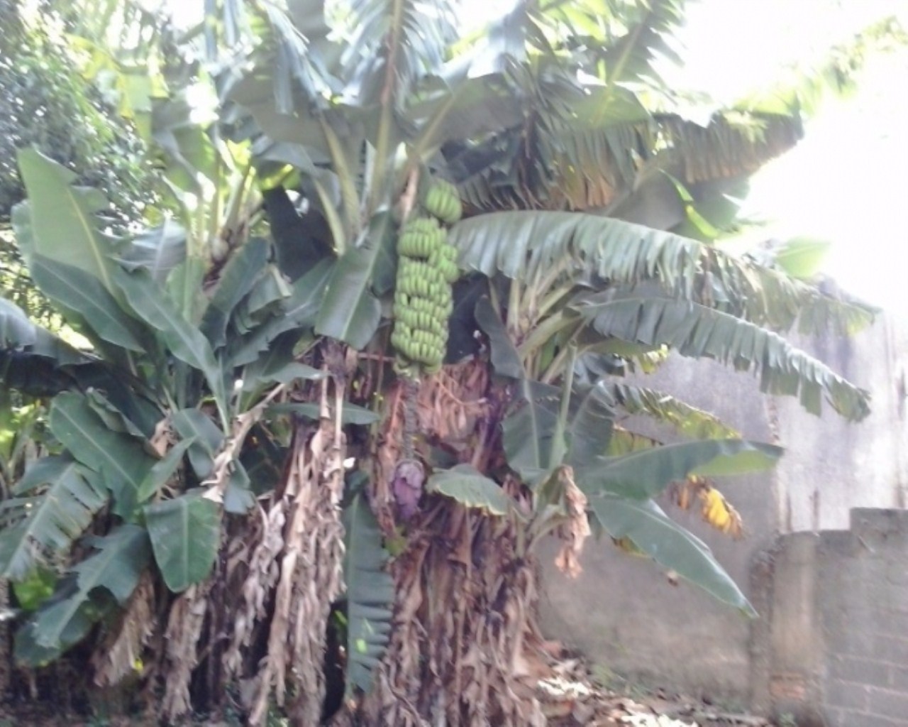 Terreno em JARDIM BONFIGLIOLI, Jundiaí - Foto 21