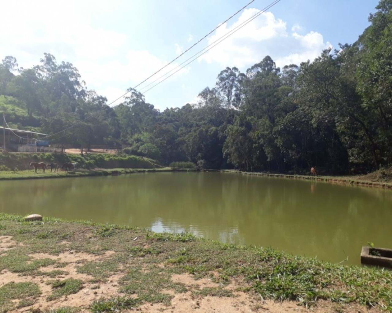 Stio 54.000 m chcara Santa Martha Vrzea Paulista/SP, rea para construir condomnio