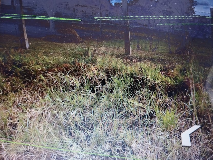 Terreno - Foto 2