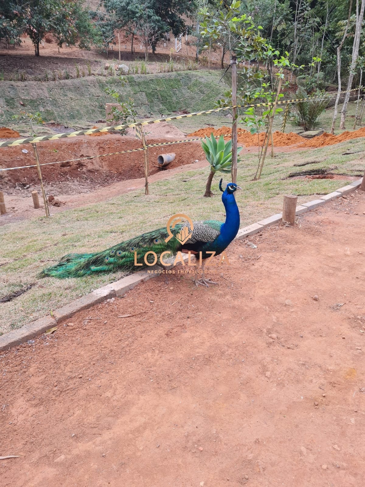 Terreno, 396 m² - Foto 4