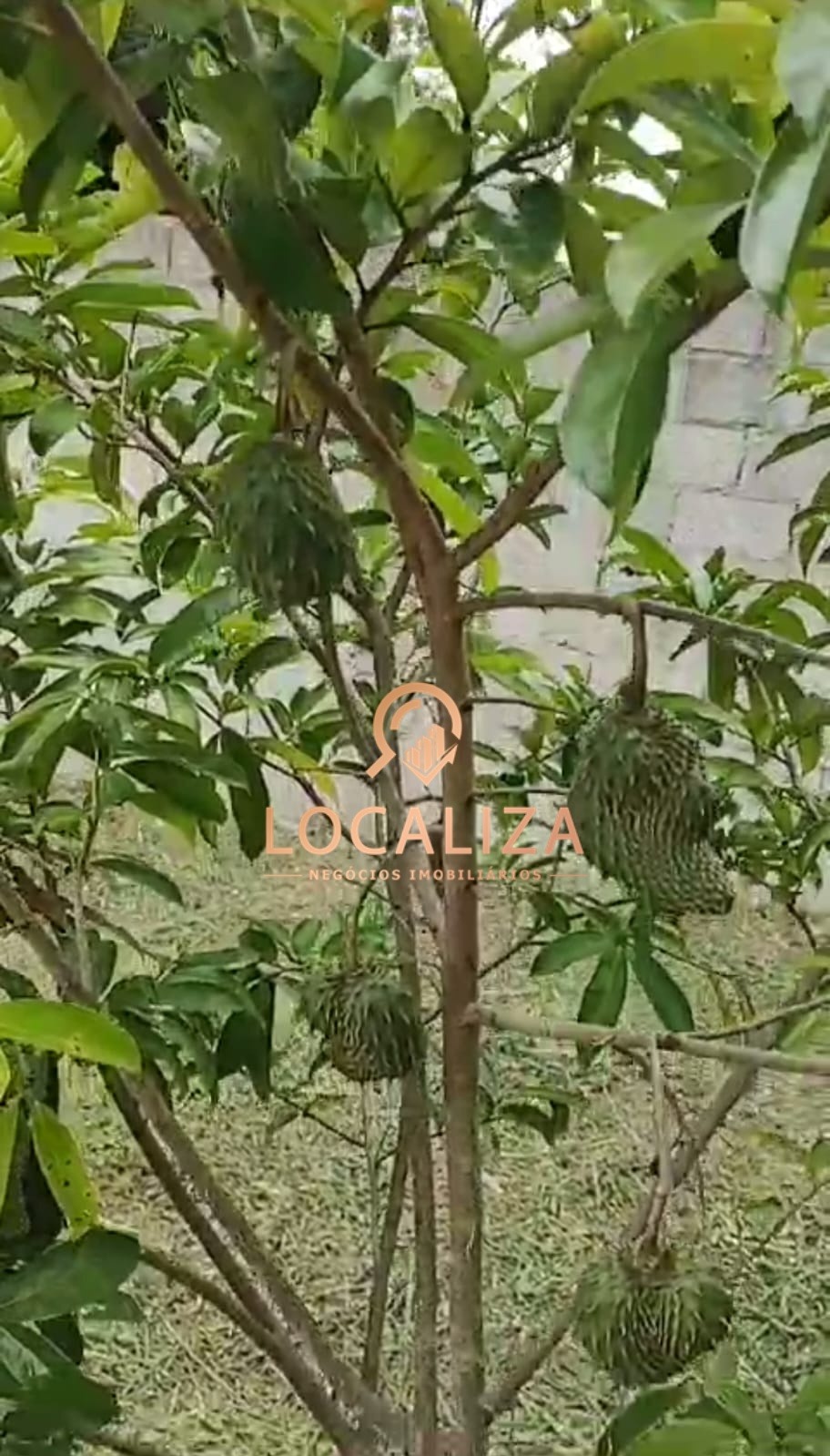 Chácara, 5 quartos - Foto 24