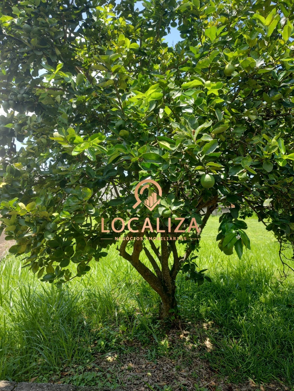 Chácara, 5 quartos - Foto 23