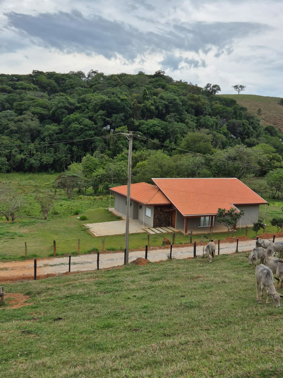 Chácara, 3 quartos - Foto 25