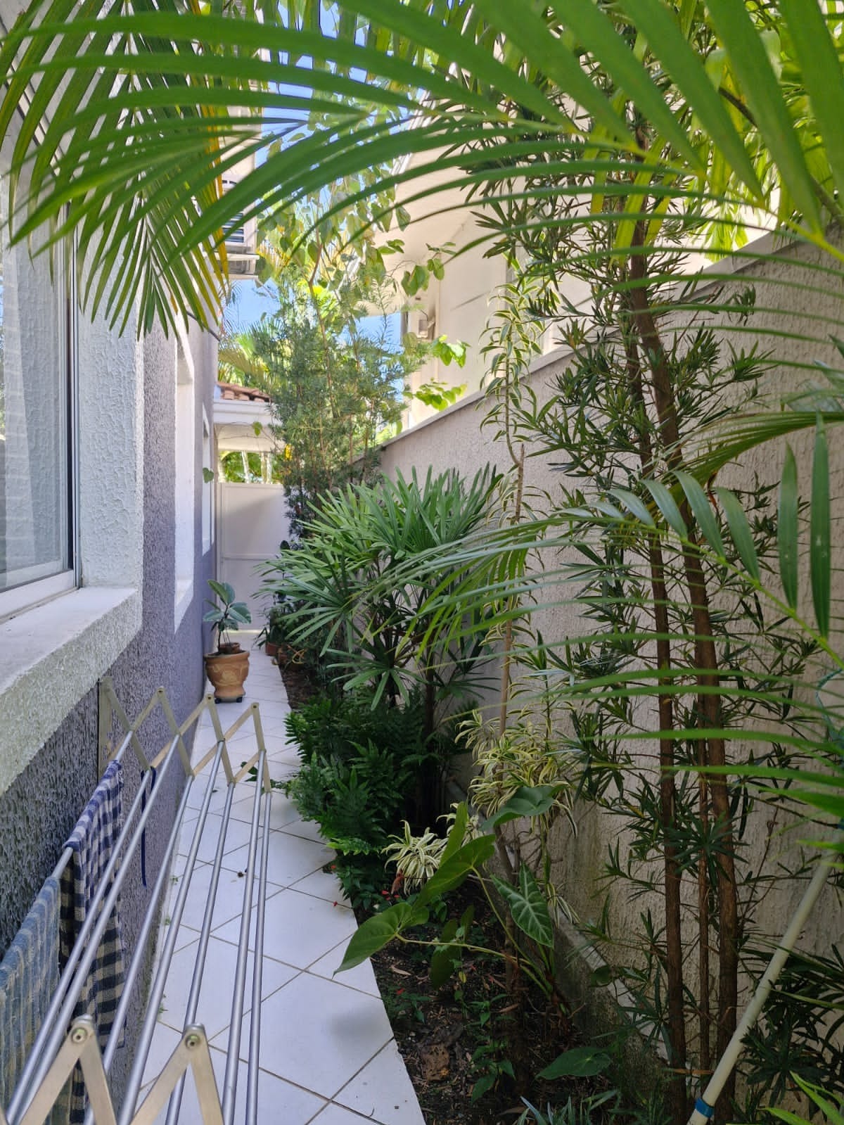 Casa, 4 quartos, 330 m² - Foto 8